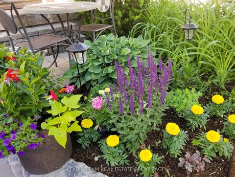 Photo 30 at 272 Tom Taylor Crescent, Summerhill Estates, Newmarket