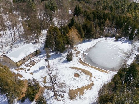 Photo 40 at 4204 Concession Road 8, Rural Clarington, Clarington