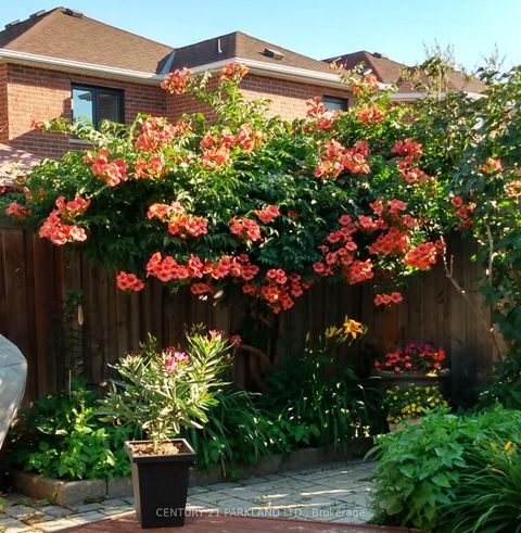 Photo 39 at 181 Purcell Crescent, Maple, Vaughan