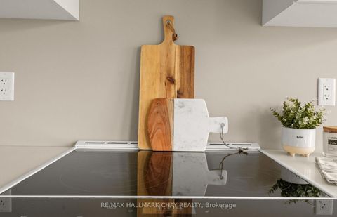 Photo 21 at 213 Mary Street, Creemore, Clearview