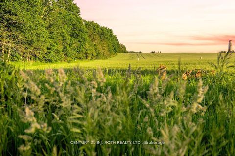 Photo 6 at LT 14 9th Line, Rural Innisfil, Innisfil