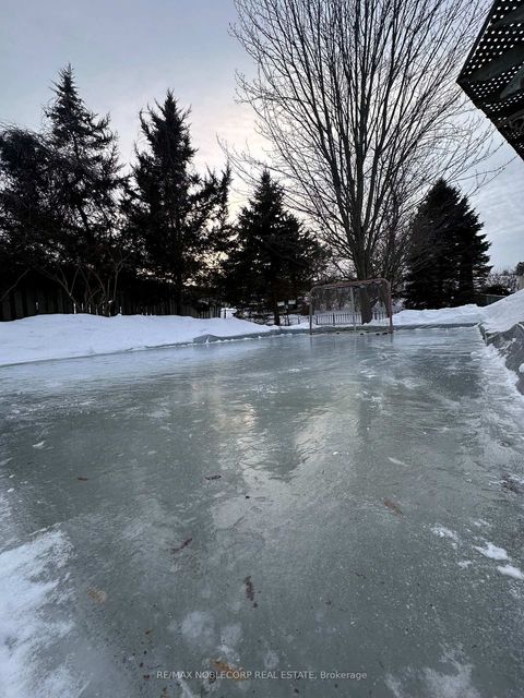 Photo 28 at 479 Greig Circle, College Manor, Newmarket