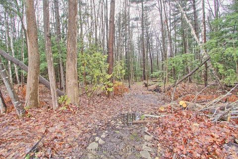 Photo 3 at 52 Maple Avenue, Sutton & Jackson's Point, Georgina