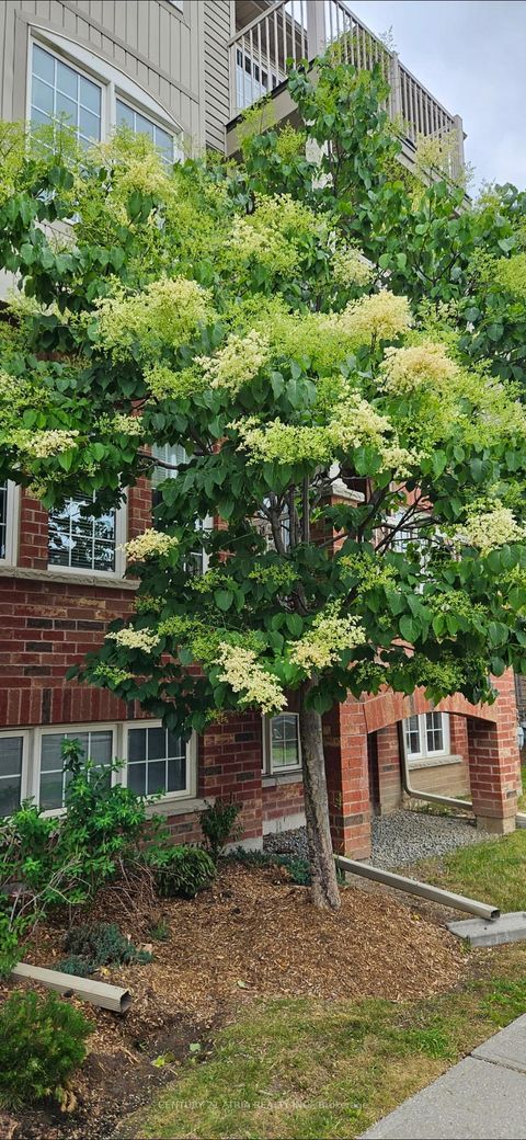 Photo 34 at 5 - 129 Isaac Devins Boulevard, Pelmo Park W5, Toronto