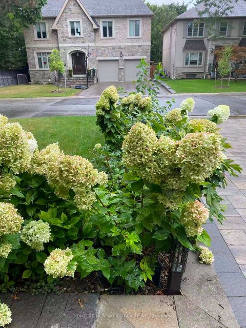 Photo 39 at 110 Bidewell Avenue, Westgate, Toronto