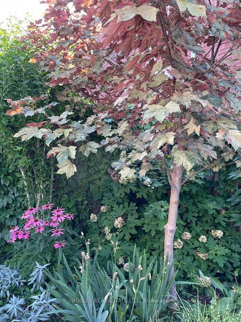 Photo 41 at 66 Ninth Street, New Toronto, Toronto