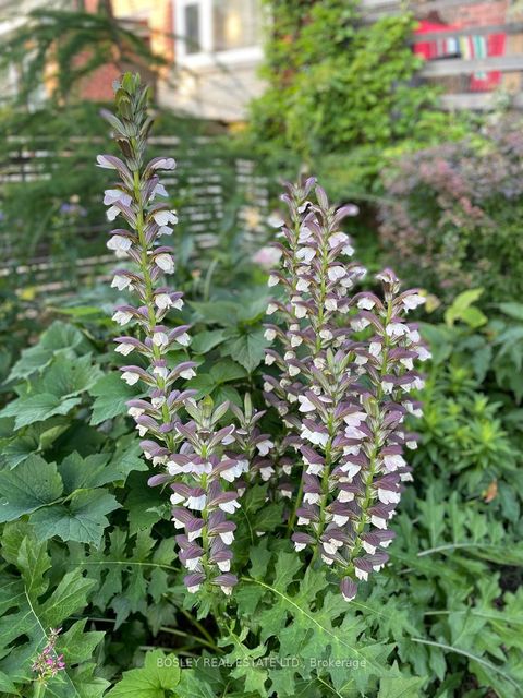 Photo 42 at 66 Ninth Street, New Toronto, Toronto