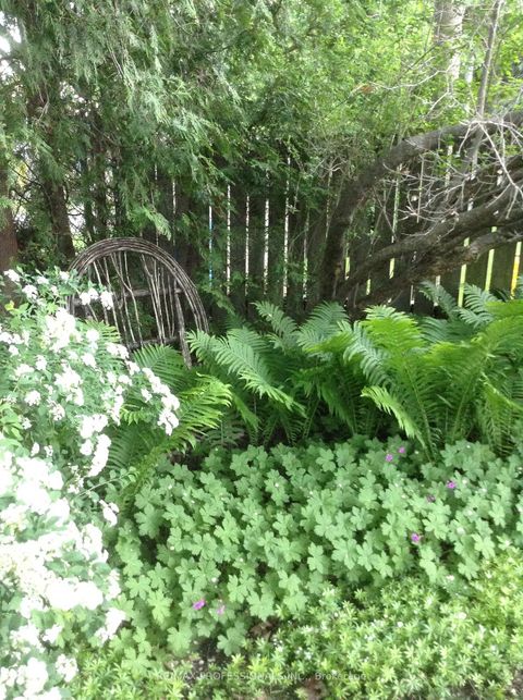 Photo 34 at 11 Mitcham Drive, Alderwood, Toronto