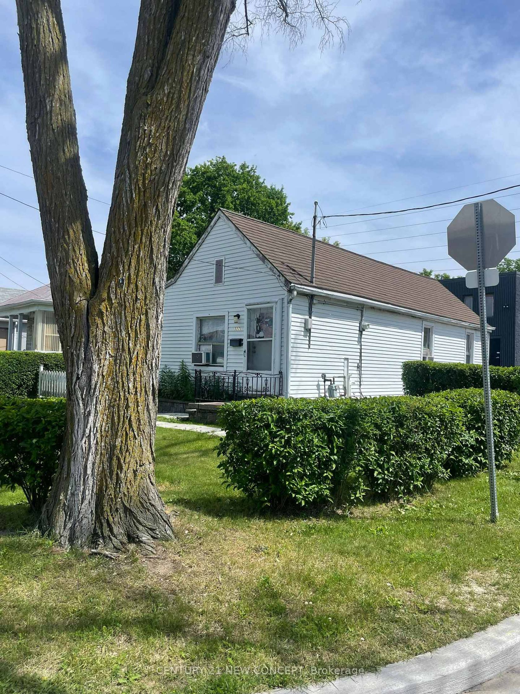 1171 Roselawn Avenue, Belgravia, Toronto photo number 2