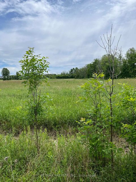 Photo 2 at N/A Highway 48, Pefferlaw, Georgina