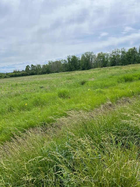 Photo 3 at N/A Highway 48, Pefferlaw, Georgina