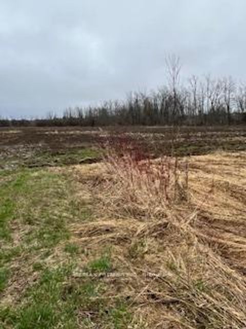 Photo 5 at N/A Highway 48, Pefferlaw, Georgina