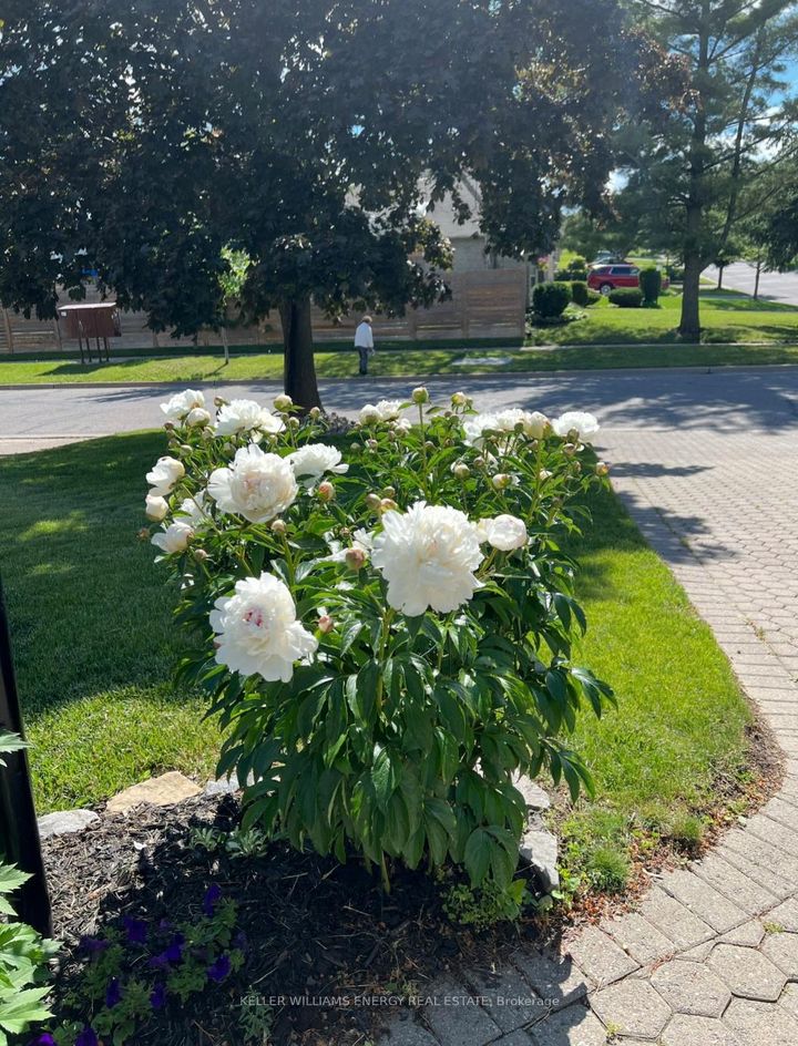 Photo 42 at 565 Prestwick Drive, McLaughlin, Oshawa