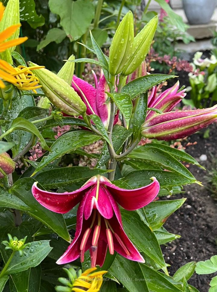 Photo 43 at 565 Prestwick Drive, McLaughlin, Oshawa