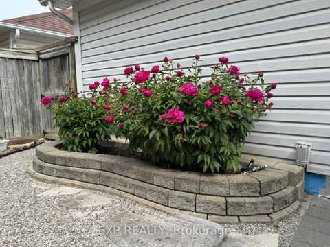 Photo 42 at 86 Bassett Avenue, Langstaff, Richmond Hill