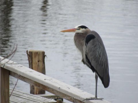 Photo 20 at 184 Riverbank Drive, Pefferlaw, Georgina