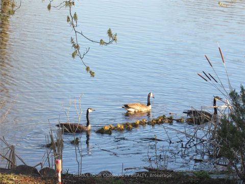 Photo 21 at 184 Riverbank Drive, Pefferlaw, Georgina