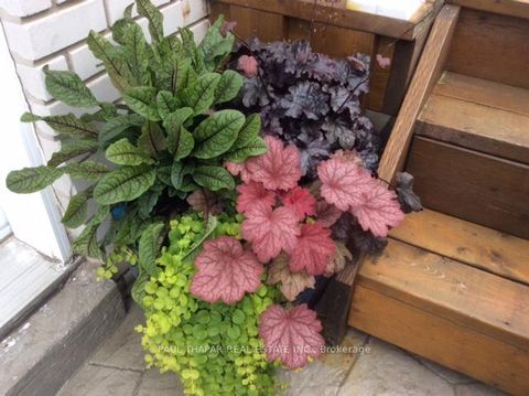 Photo 34 at 10 Castlebury Crescent, Steeles, Toronto