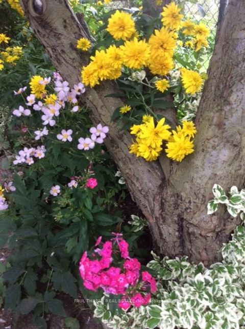 Photo 38 at 10 Castlebury Crescent, Steeles, Toronto