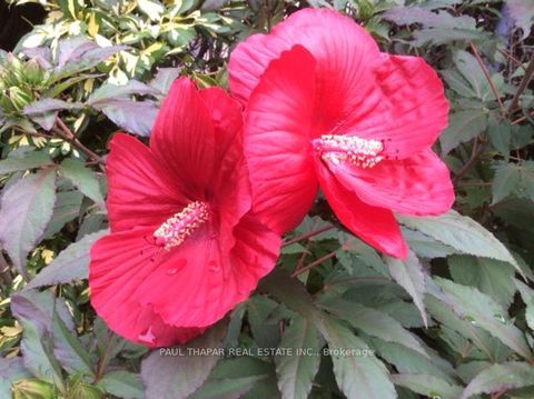 Photo 42 at 10 Castlebury Crescent, Steeles, Toronto