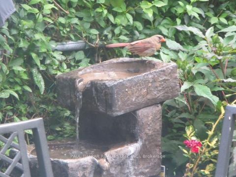 Photo 43 at 10 Castlebury Crescent, Steeles, Toronto