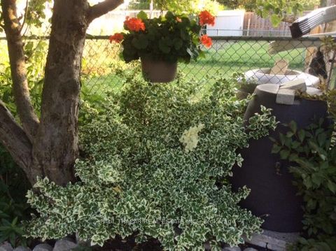 Photo 45 at 10 Castlebury Crescent, Steeles, Toronto