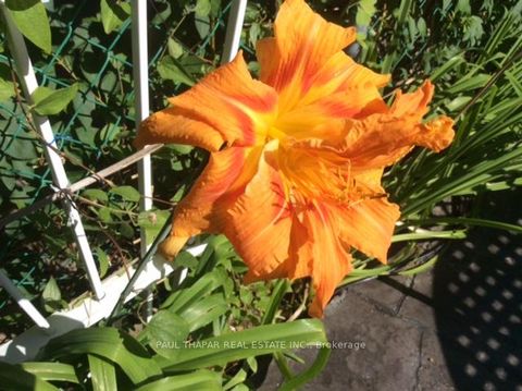 Photo 46 at 10 Castlebury Crescent, Steeles, Toronto