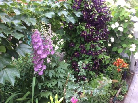 Photo 47 at 10 Castlebury Crescent, Steeles, Toronto