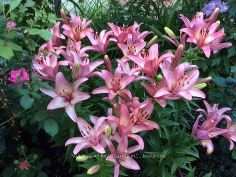 Photo 48 at 10 Castlebury Crescent, Steeles, Toronto