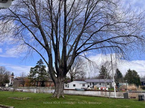 Photo 47 at 37 Canal Street, Keswick South, Georgina