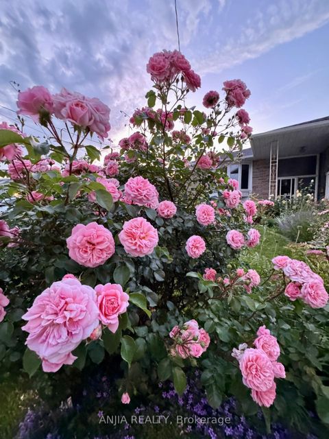 Photo 1 at 36 Birchard Street, Sullivan, Toronto