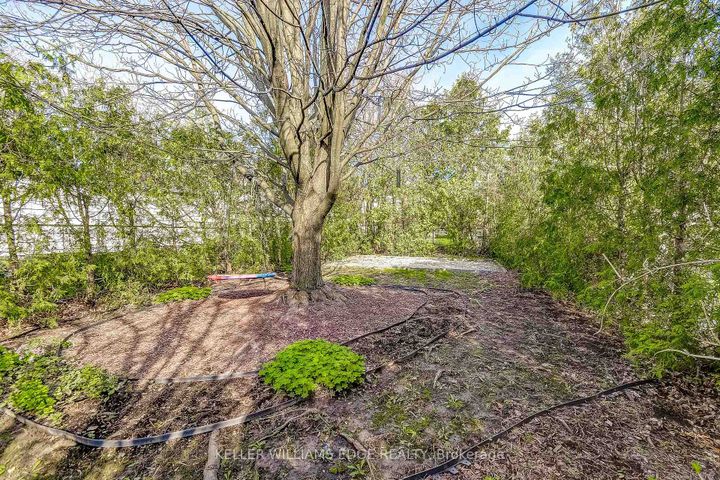 Photo 29 at 53 East 19th Street, Inch Park, Hamilton