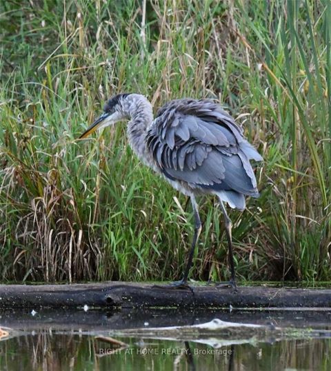 Photo 23 at 212 - 870 Jane Street, Smythe, Toronto