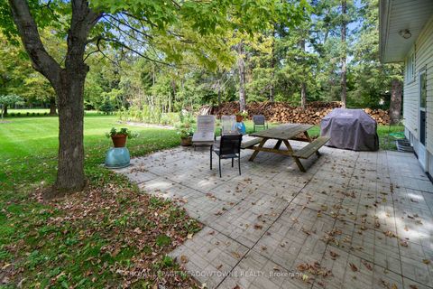 Photo 28 at 208 Martin Street, King City, King