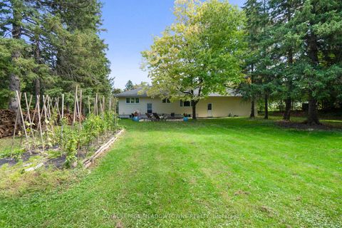 Photo 31 at 208 Martin Street, King City, King