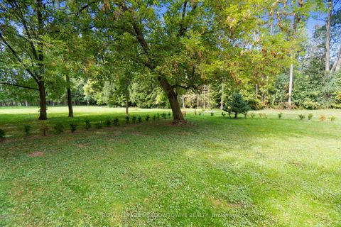 Photo 32 at 208 Martin Street, King City, King