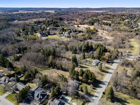 Photo 38 at 208 Martin Street, King City, King