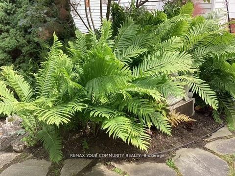 Photo 43 at 30 Dunning Avenue, Aurora Village, Aurora