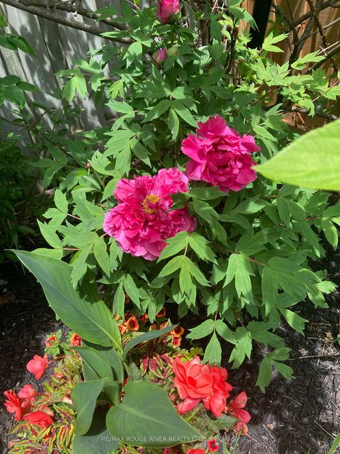 Photo 48 at 20 Twin Streams Road, Williamsburg, Whitby