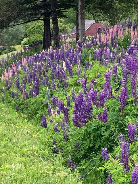 Photo 49 at 20 Twin Streams Road, Williamsburg, Whitby