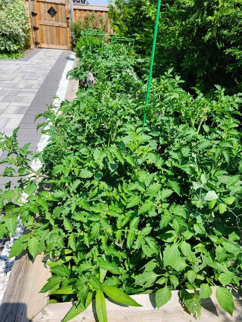 Photo 37 at 117 Four Seasons Crescent, Woodland Hill, Newmarket