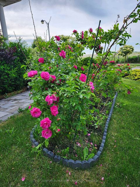 Photo 38 at 117 Four Seasons Crescent, Woodland Hill, Newmarket