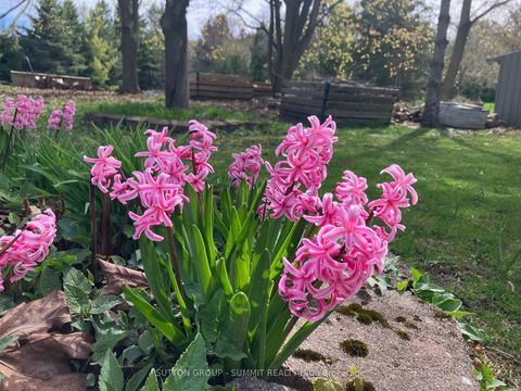 Photo 44 at 39 Cutting Crescent, Pottageville, King