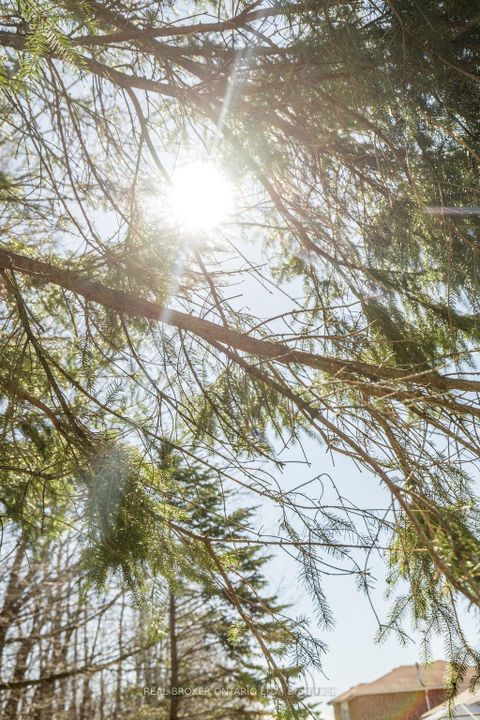 Photo 46 at 65 Benson Drive, Sandy Hollow, Barrie