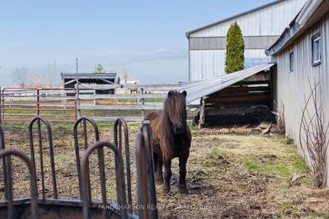 Photo 5 at 384 Feasby Road, Rural Uxbridge, Uxbridge