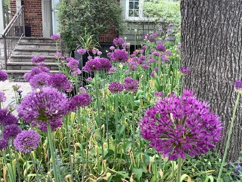 Photo 2 at 46 Twentieth Street, New Toronto, Toronto