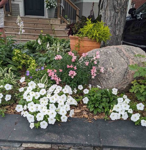 Photo 41 at 29 Thurston Road, Mount Pleasant East, Toronto