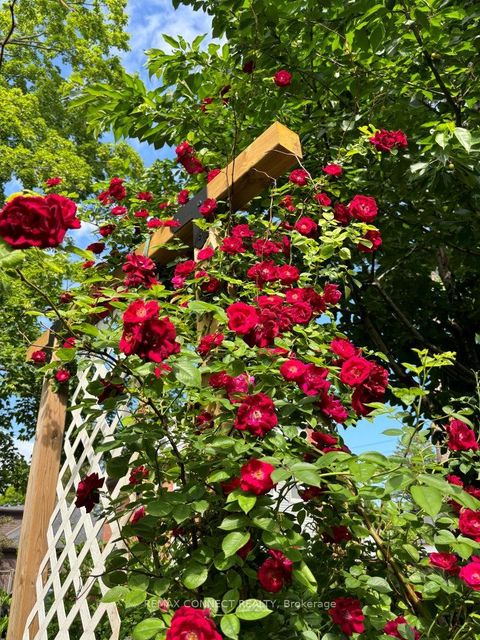 Photo 47 at 750 Gorham Street, College Manor, Newmarket