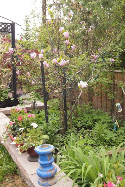 Photo 49 at 750 Gorham Street, College Manor, Newmarket