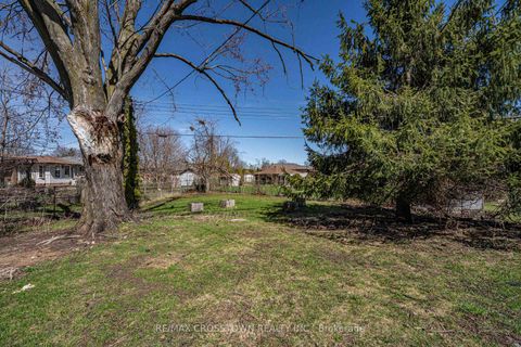 Photo 15 at 55 Davidson Street, Wellington, Barrie